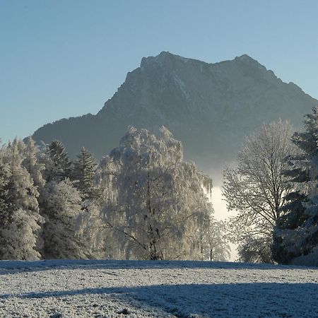 Hotel Altmuensterhof Bagian luar foto