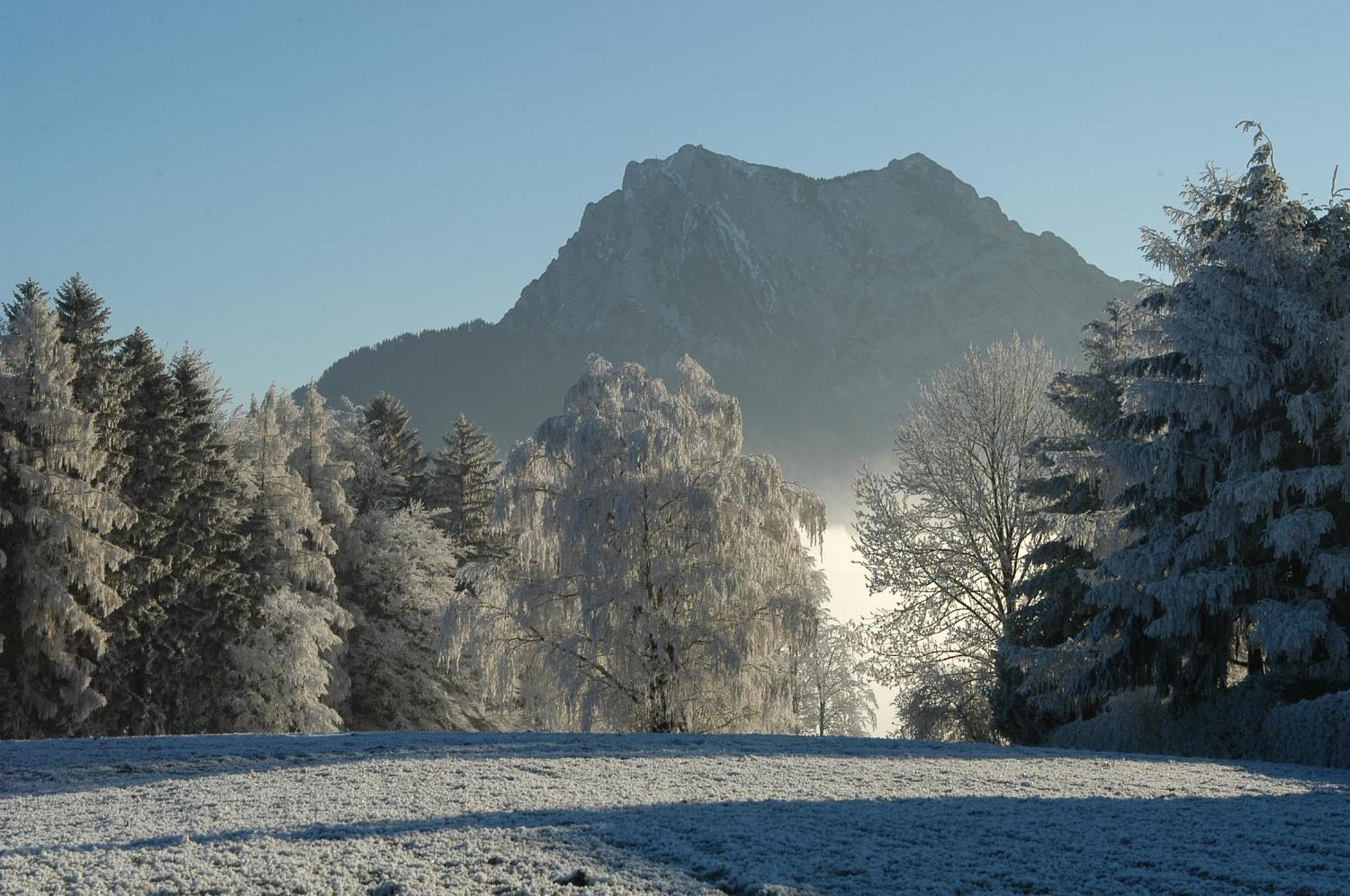 Hotel Altmuensterhof Bagian luar foto