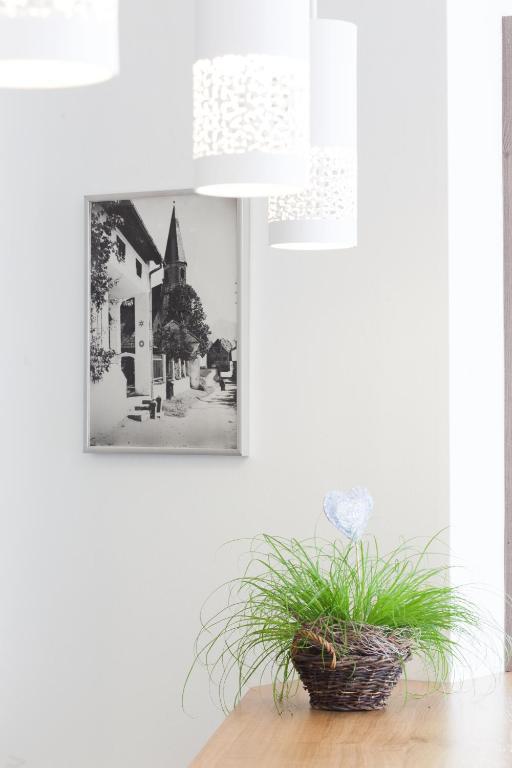 Hotel Altmuensterhof Bagian luar foto